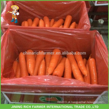 Cenoura fresca da colheita de China da alta qualidade Tamanho de S / M / L